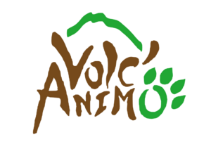Volc'Animo