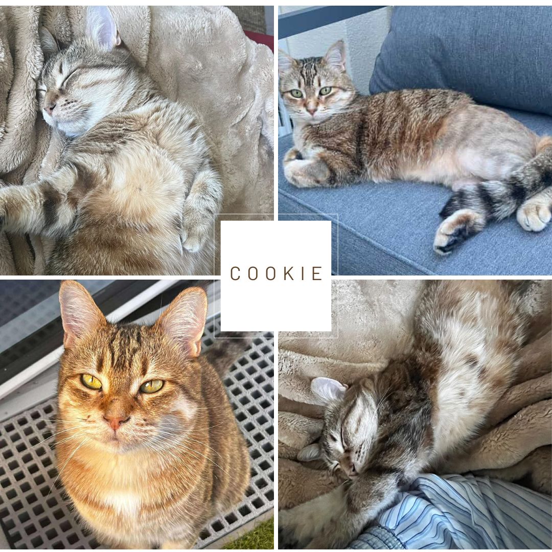 555669287_1202528275232190_4300252916849777686_n