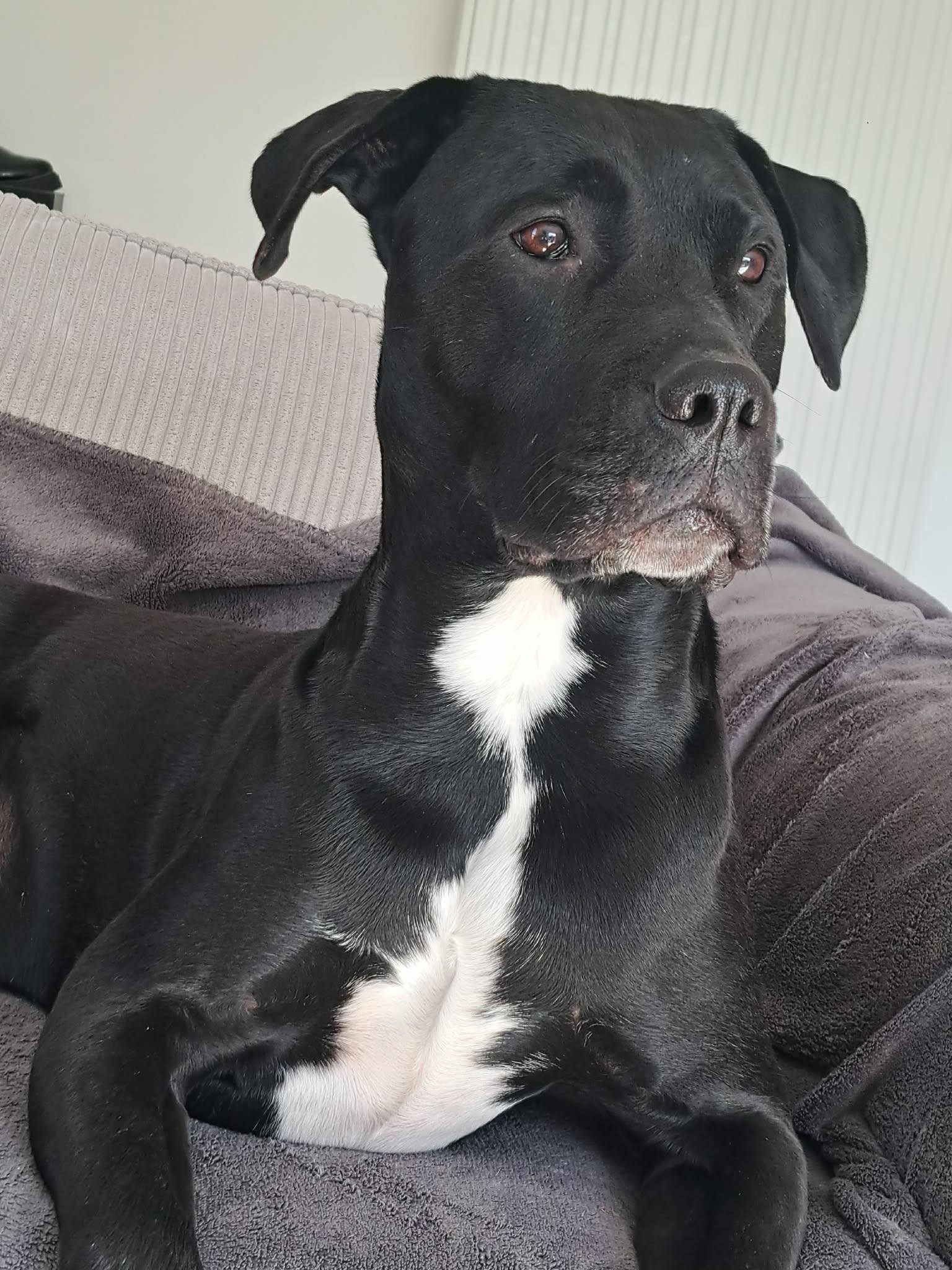 PHOTO DRAKO